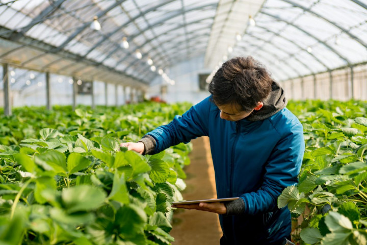 Membangun Kejayaan di Benua Biru: Bisnis Pertanian di Eropa